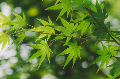 在職研究生優(yōu)勢(shì) 在職研究生優(yōu)勢(shì)