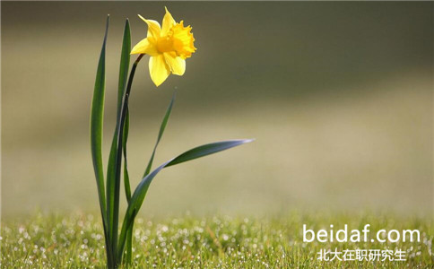 北京大學在職研究生 北京大學在職研究生