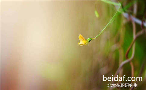 北京大學在職研究生 北京大學在職研究生